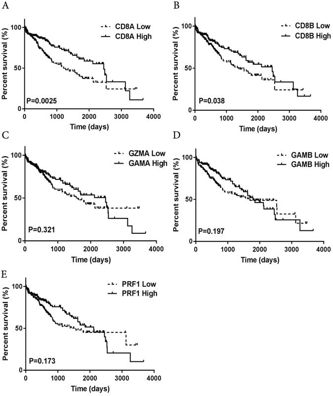 J Cancer Image