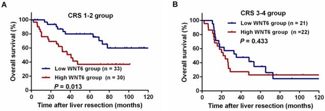 J Cancer Image