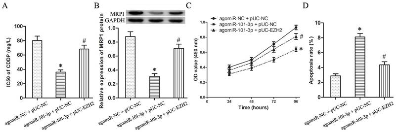 J Cancer Image