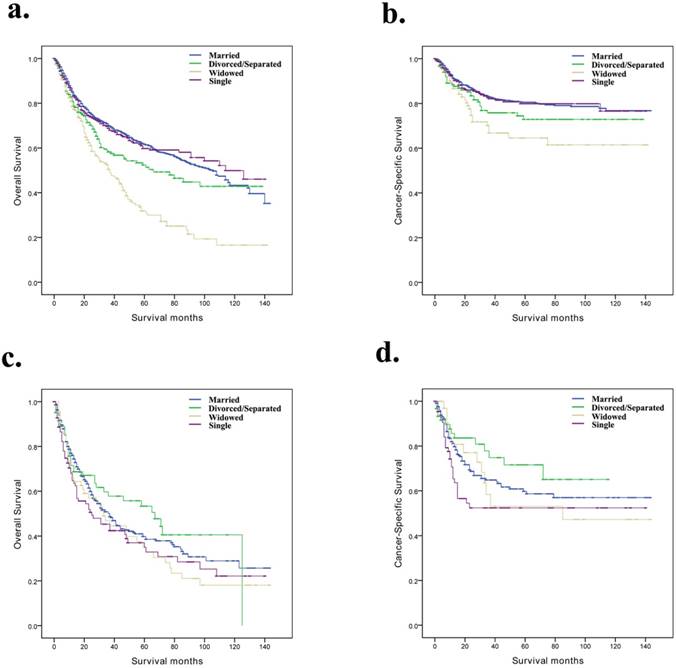 J Cancer Image