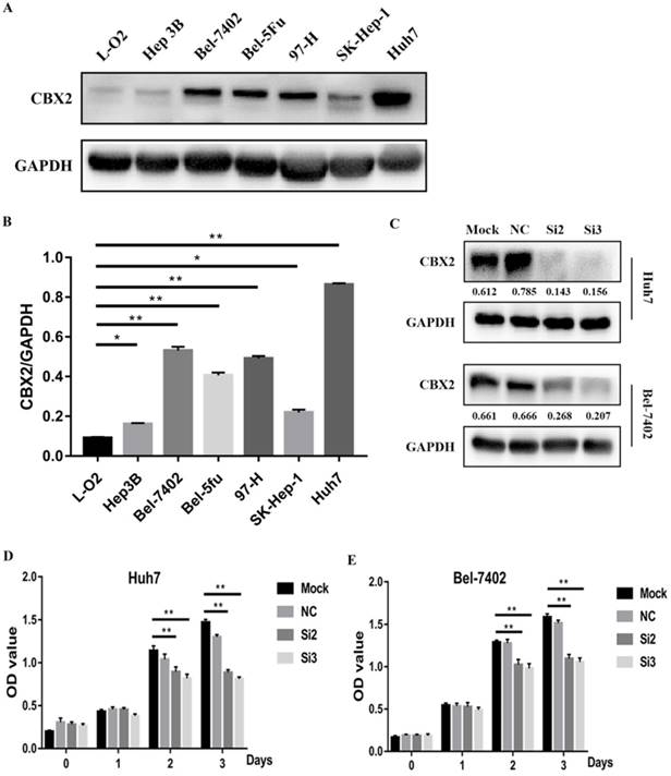 J Cancer Image