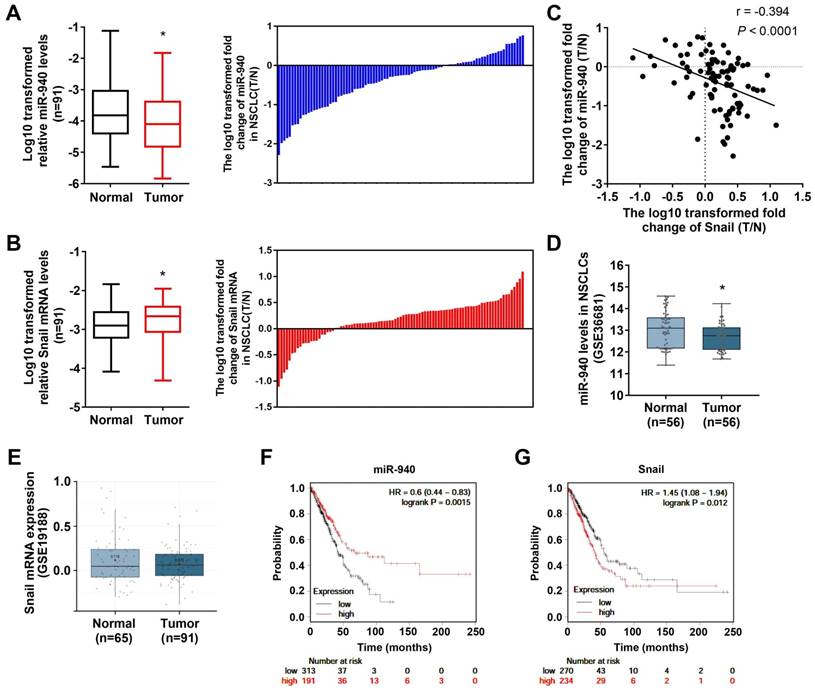 J Cancer Image