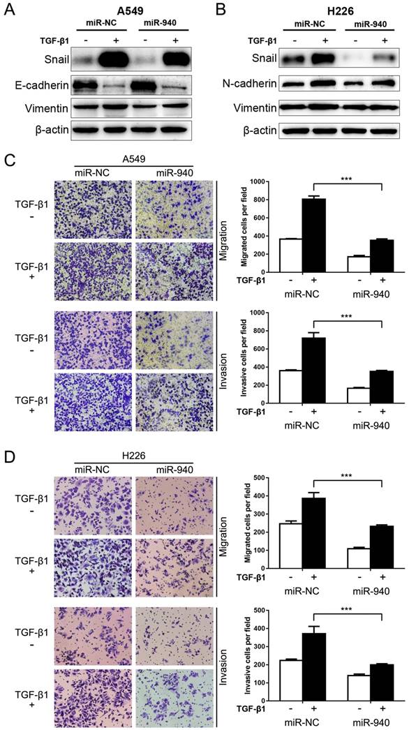 J Cancer Image