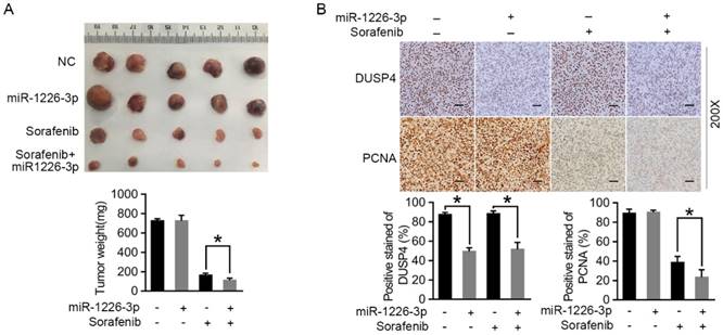 J Cancer Image