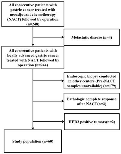 J Cancer Image