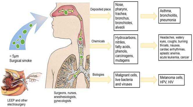 J Cancer Image