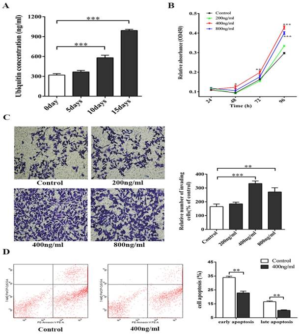 J Cancer Image