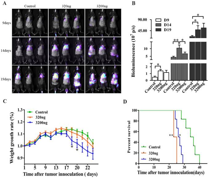 J Cancer Image