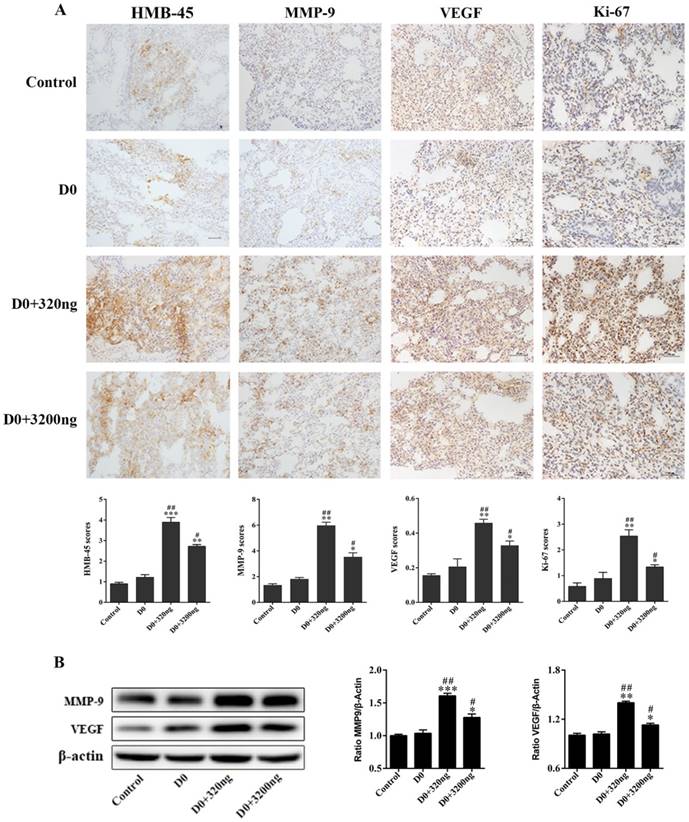 J Cancer Image