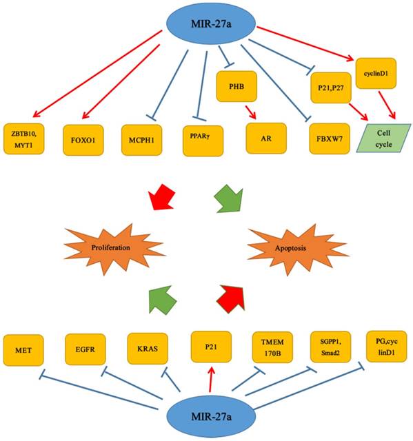 J Cancer Image