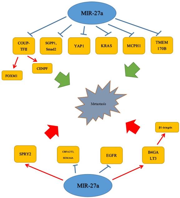 J Cancer Image