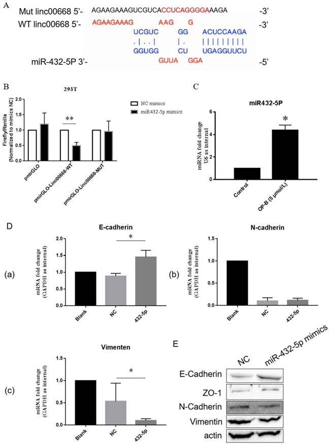 J Cancer Image