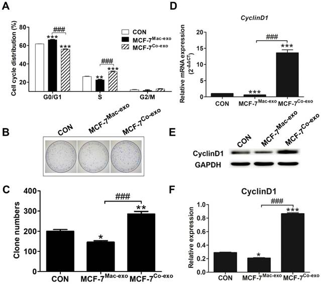 J Cancer Image