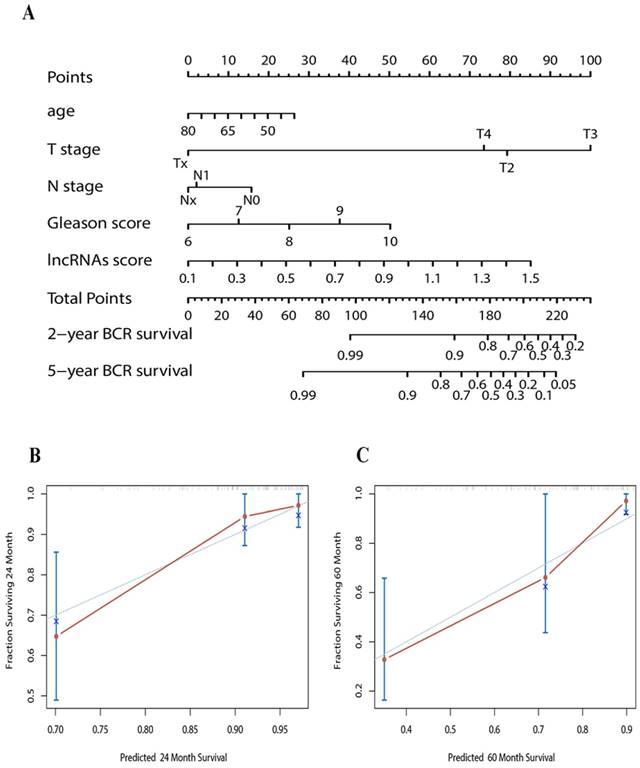 J Cancer Image