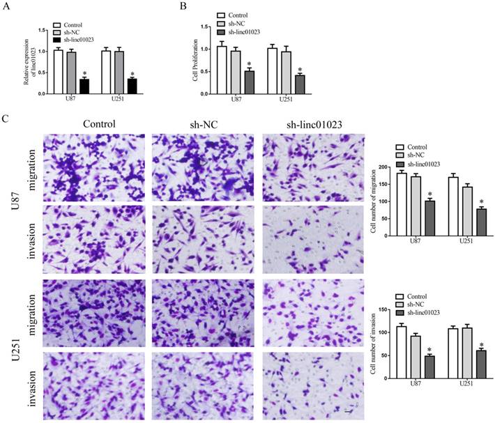 J Cancer Image