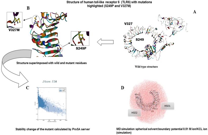 J Cancer Image