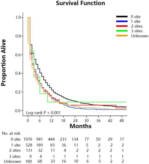 J Cancer Image