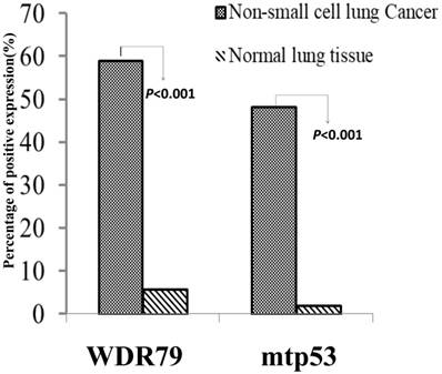 J Cancer Image