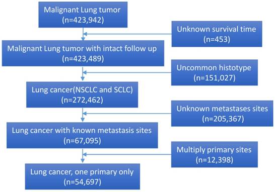 J Cancer Image