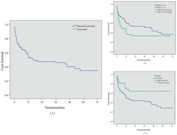 J Cancer Image