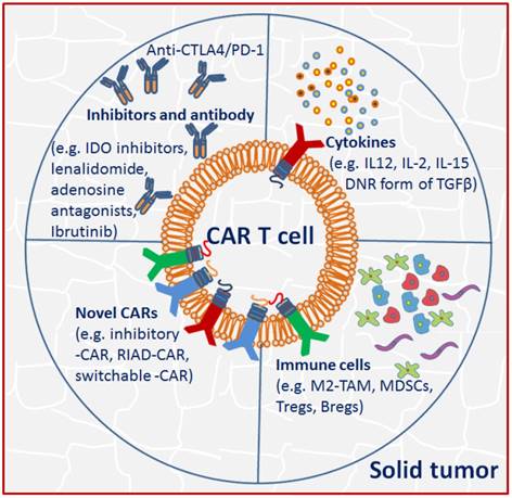 J Cancer Image