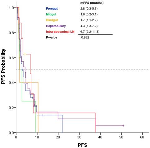 J Cancer Image