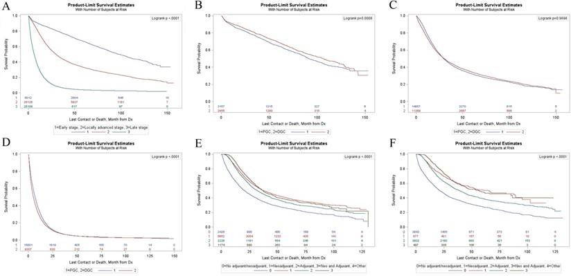 J Cancer Image