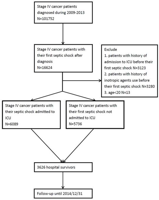 J Cancer Image