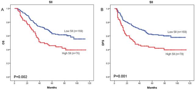 J Cancer Image