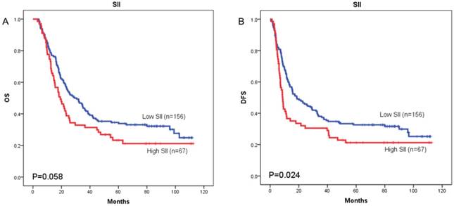 J Cancer Image