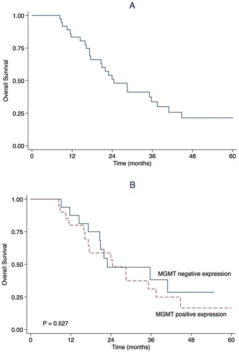 J Cancer Image