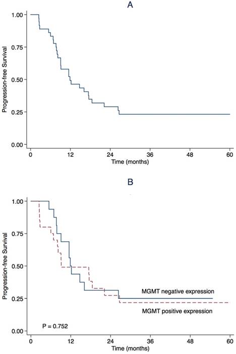 J Cancer Image