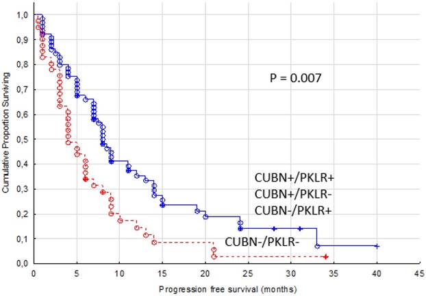 J Cancer Image