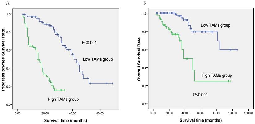 J Cancer Image