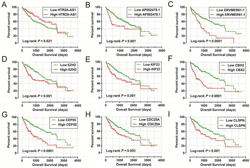 J Cancer Image