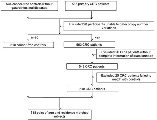 J Cancer Image