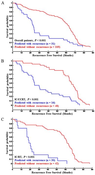 J Cancer Image