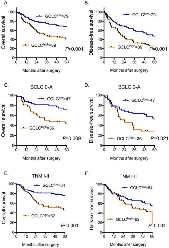 J Cancer Image