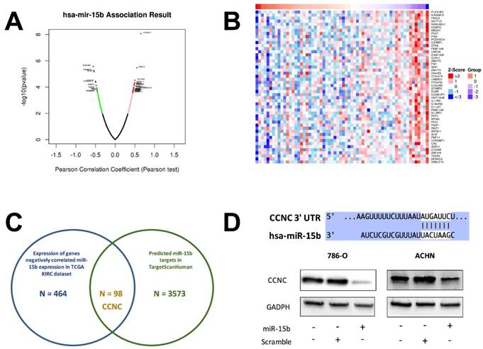 J Cancer Image