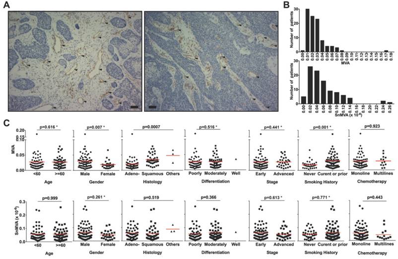 J Cancer Image