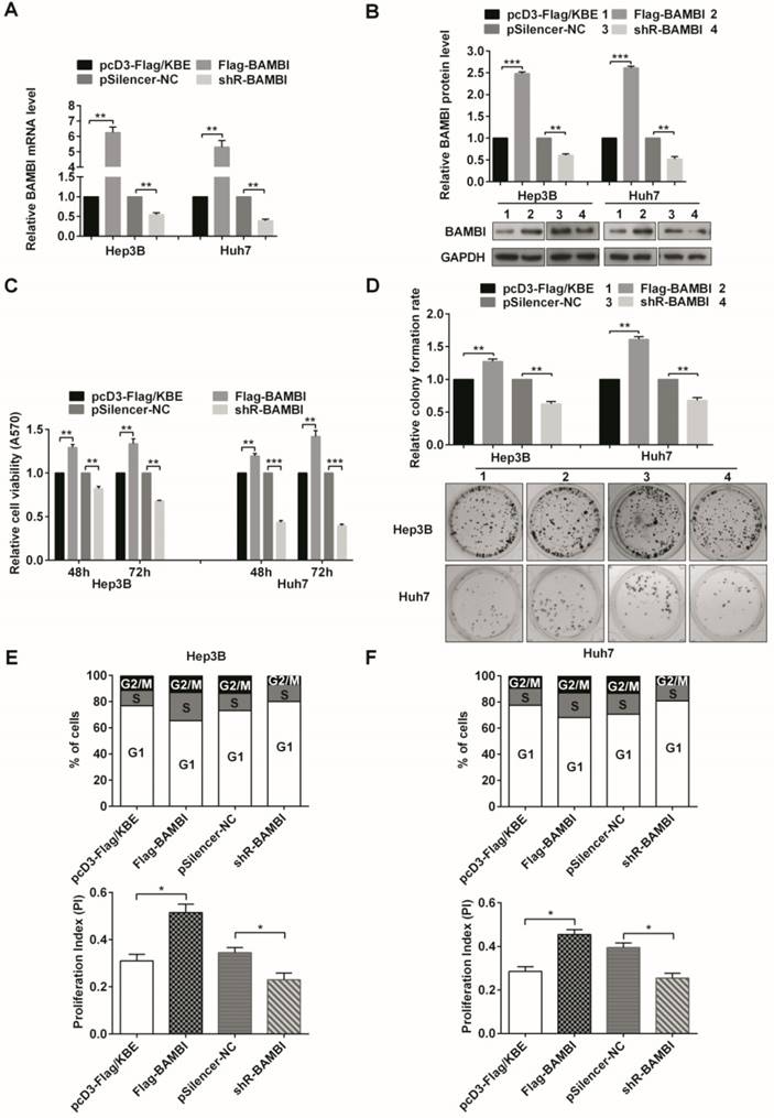 J Cancer Image