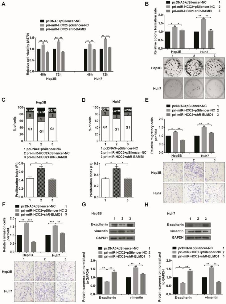 J Cancer Image