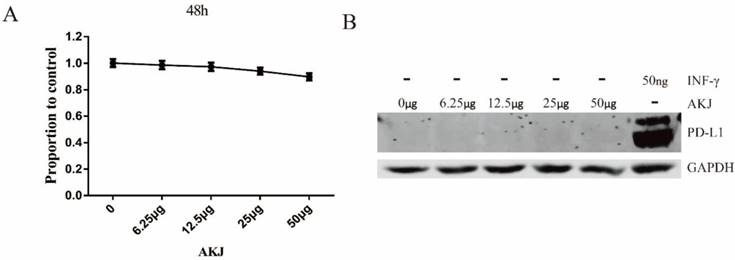 J Cancer Image