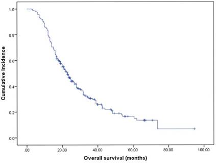 J Cancer Image