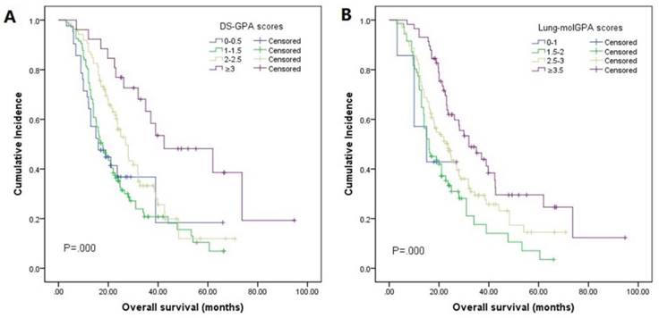 J Cancer Image