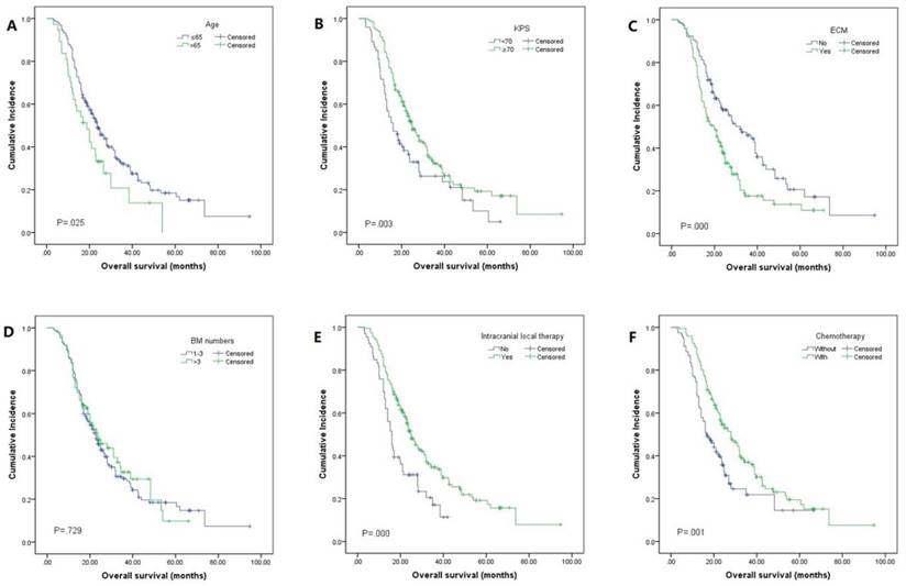 J Cancer Image