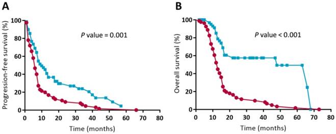 J Cancer Image