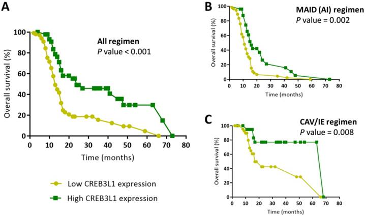 J Cancer Image