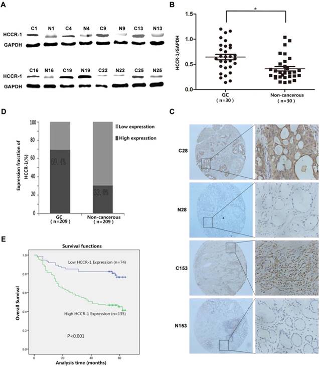 J Cancer Image