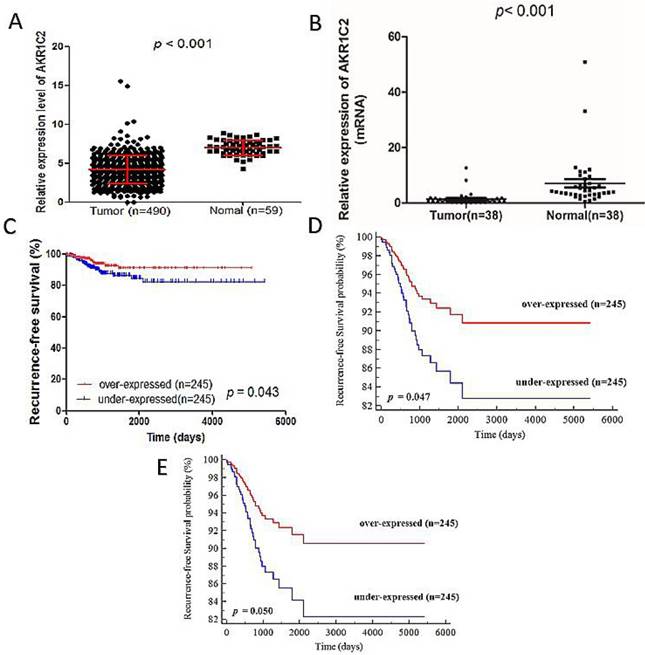 J Cancer Image